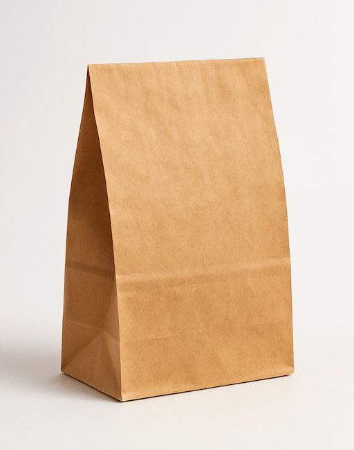 Saco de papel biodegradável: por que você deveria investir para seu negócio